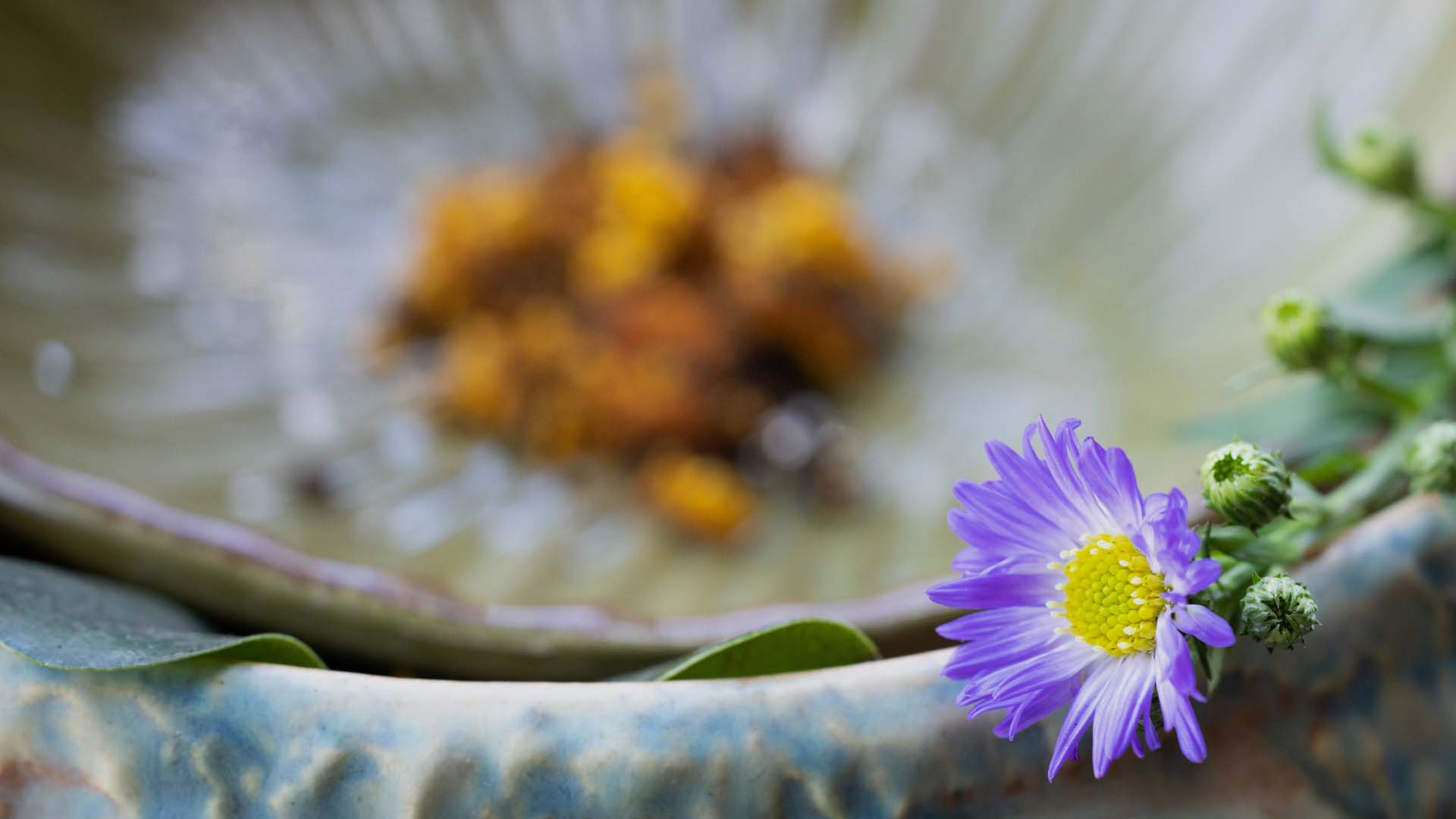 beautiful Ayurvedic broth in a bowl with purple flower