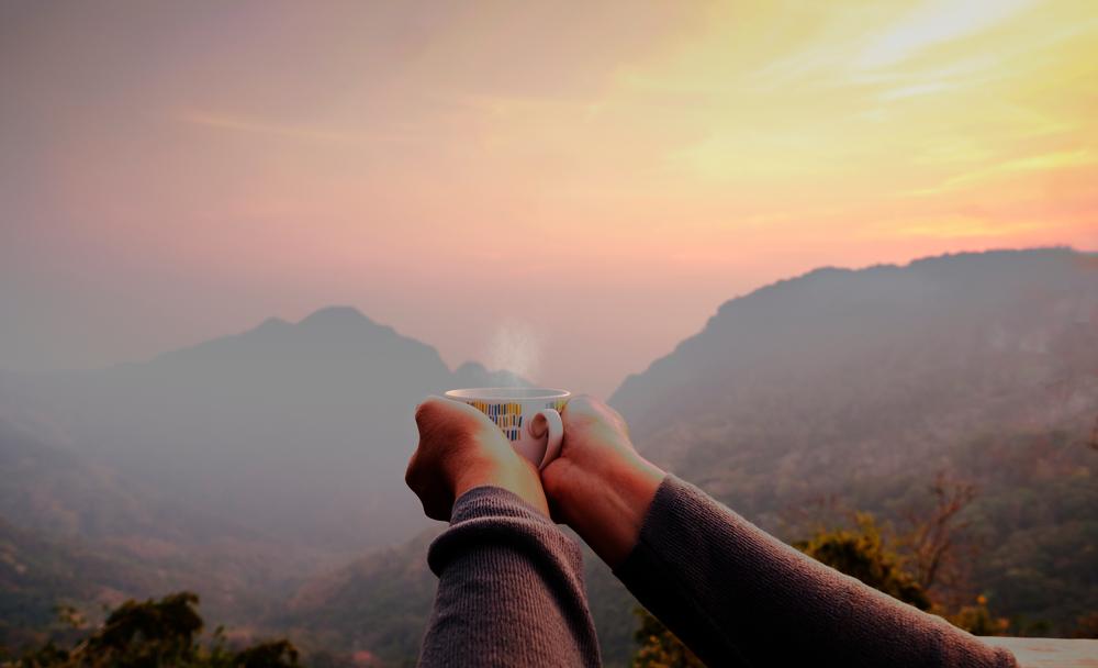 Two hands hold a mug of herbal tea while gazing at a mountain vista.