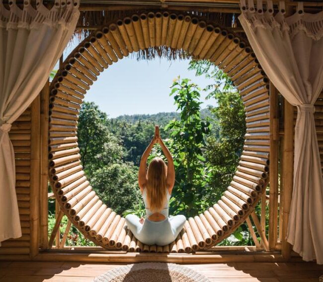 A figure holds a yoga pose in front of a verdant mountain vista.