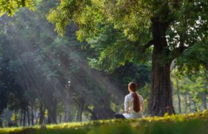 A woman sits and meditates beneath a giant tree.