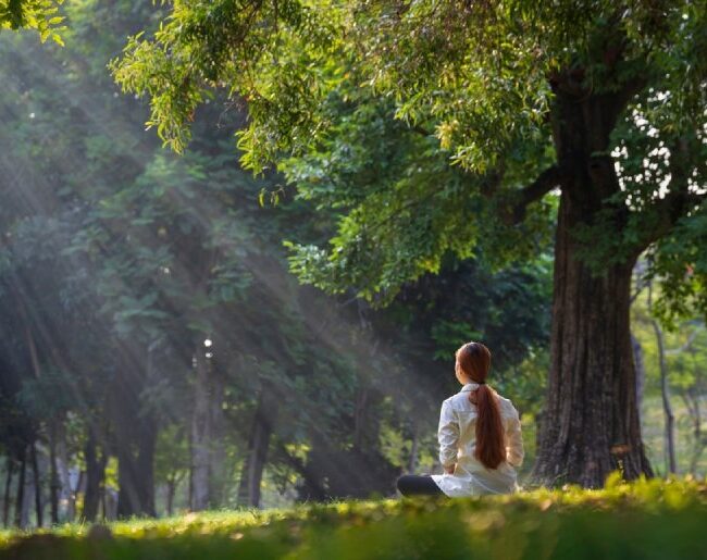 A woman sits and meditates beneath a giant tree.