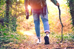 Someone taking a walk through nature at the golden hour.