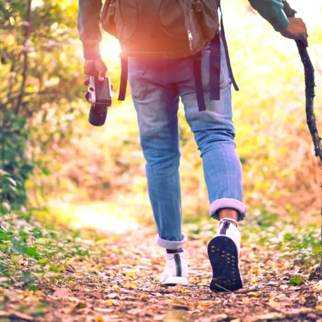 Someone taking a walk through nature at the golden hour.